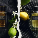 Dolce & Gabbana Re-Edition Kollektion – Sicily 2003 & Masculine 1999