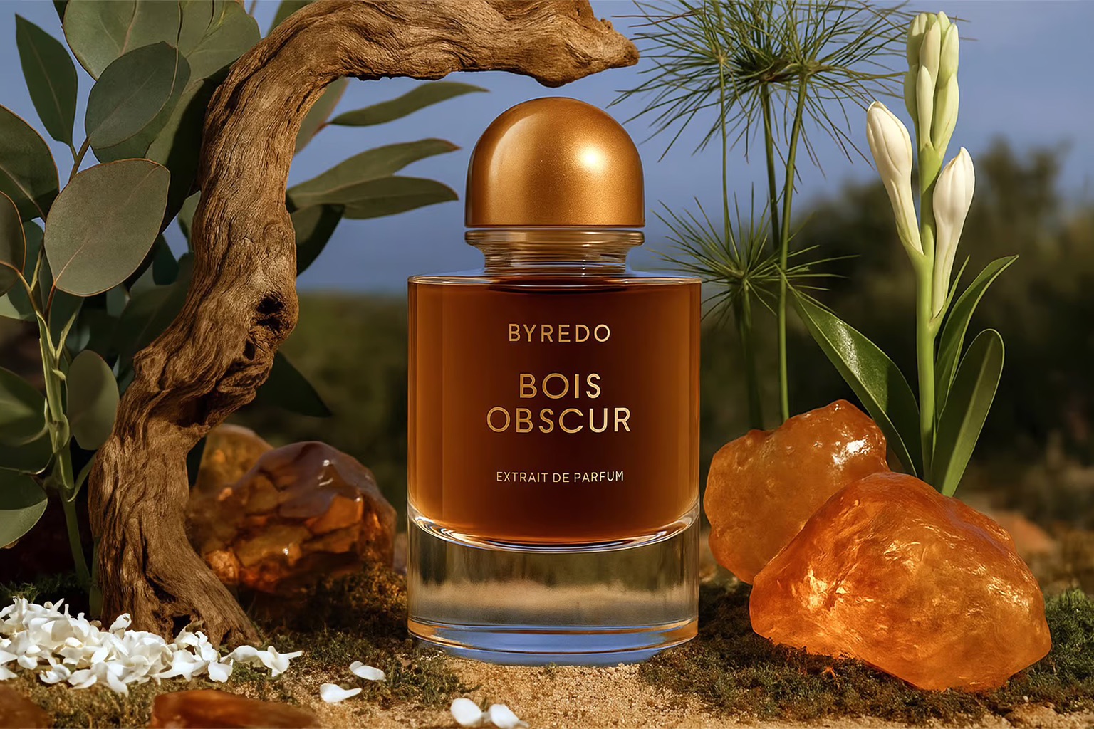 Extrait de Parfum Byredo Bois Obscur